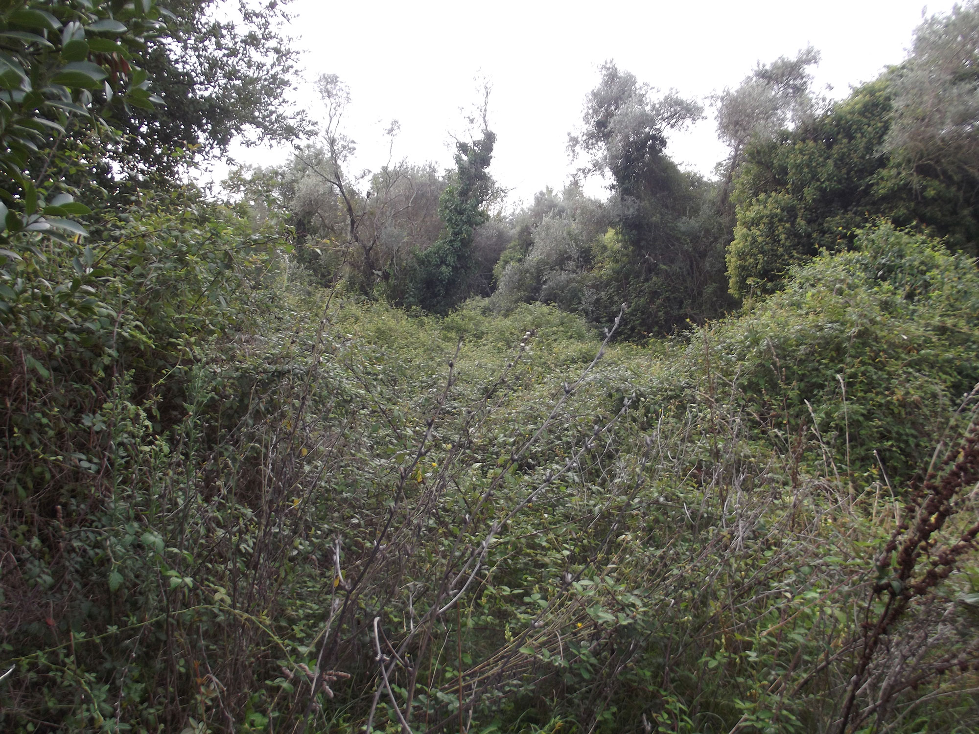 San Clemente a Ninfa