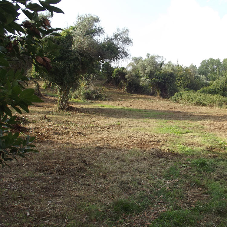 San Clemente a Ninfa