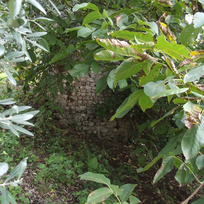 San Clemente a Ninfa